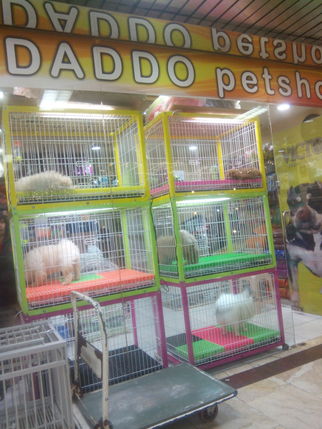 pet shop gajah mada
