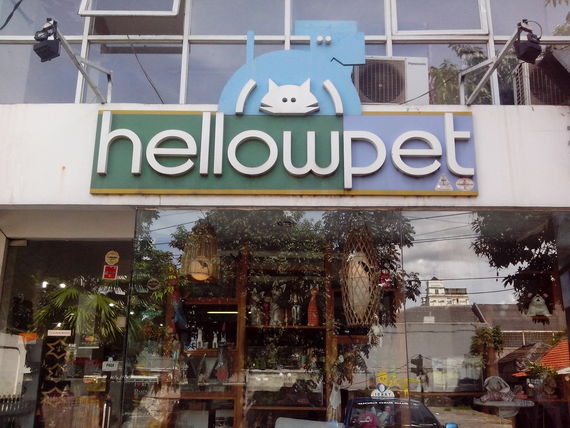 pet shop kemang