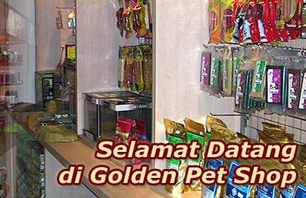 plaza pet shop