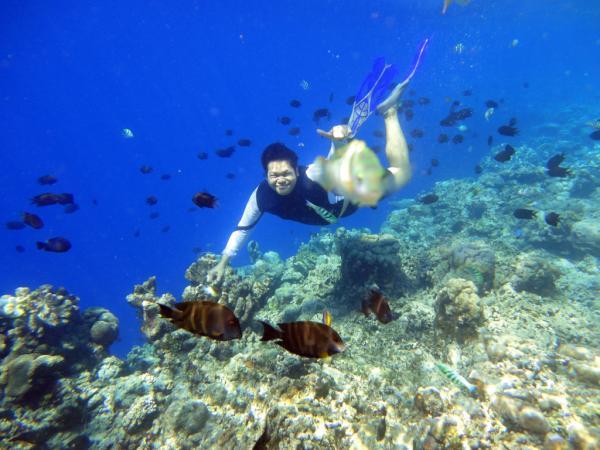 Diving