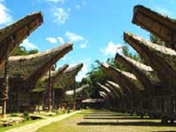 toraja