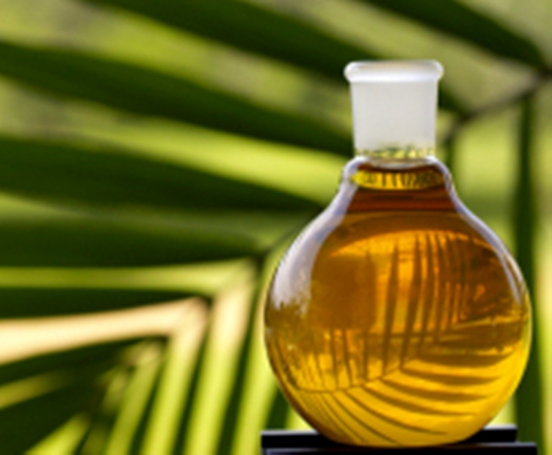 news palmoilsihi