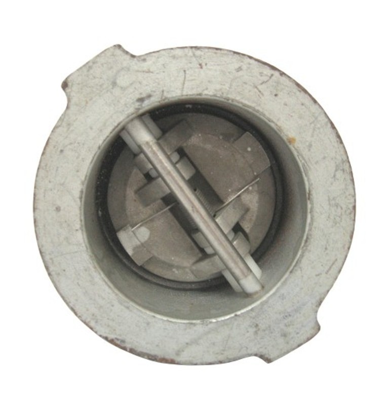 Wafer Check VAlve