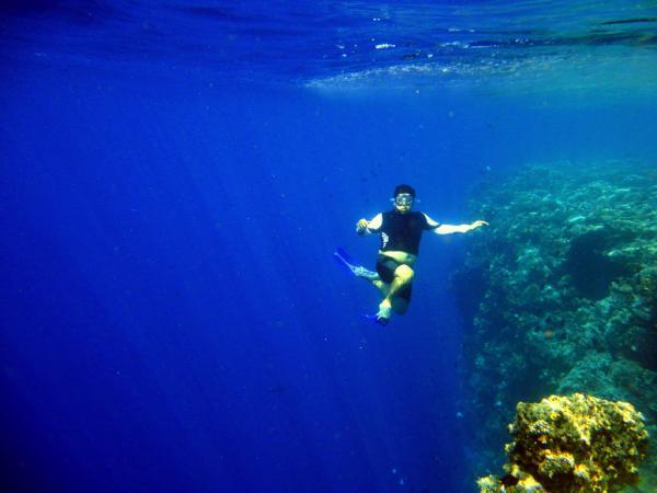 Nikmati Kegiatan Diving yang Menyenangkan