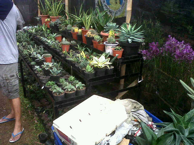 IMG01004 20130613 1055