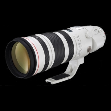 Canon EF 200-400mm f/4 L IS USM Extender 1.4x