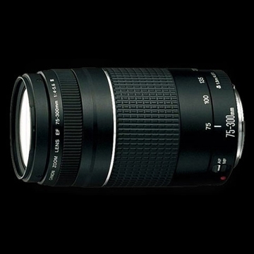 Canon EF 75-300mm f/4-5.6 III USM