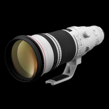 Canon EF 500mm f/4L IS II USM