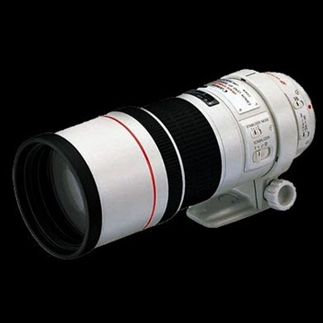 Canon EF 300mm f/4L IS USM