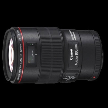 Canon EF 100mm f/2.8L IS USM Macro