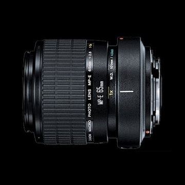 Canon MPE 65mm f/2.8 1.5x Macro
