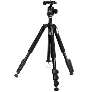 VANGUARD ALTA + 204 AB