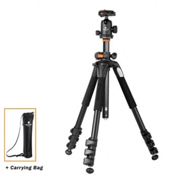 Alta Pro 264 AB 100