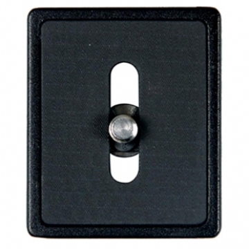 QS 39