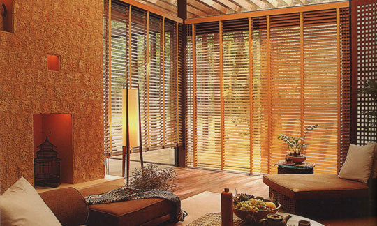 Bamboo Blind