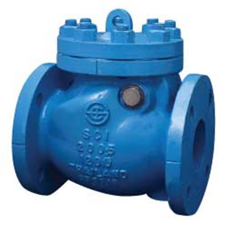 Check Valve Cast Iron3