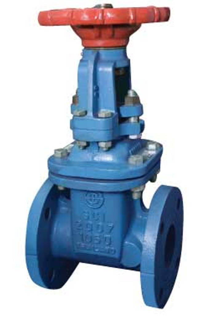 Gate Valve Cast Iron2