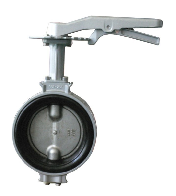 Butterfly Valve