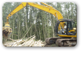 forestry thumb