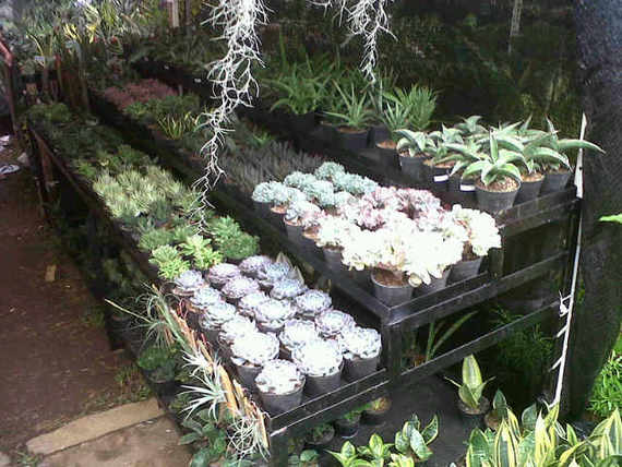 IMG01006 20130613 1056