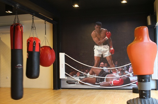 MAXIMUM MIXED MARTIAL ARTS