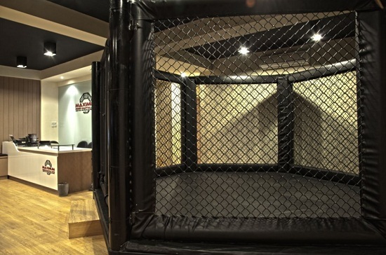 MAXIMUM MIXED MARTIAL ARTS