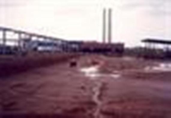 thumbnail (2)