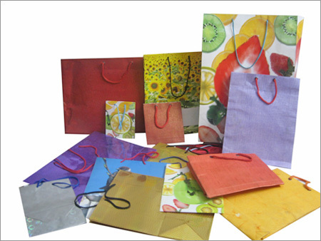 Shopping Paper Bags