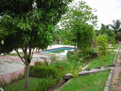 View 5