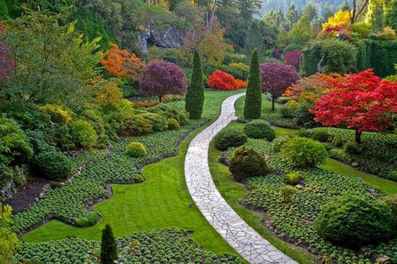 Flower Design for Garden