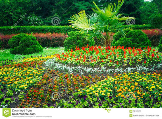 Flower Design for Garden