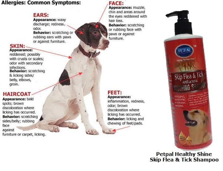 Petpal Global Animal Product - Announcement on April 08, 2015 20:33