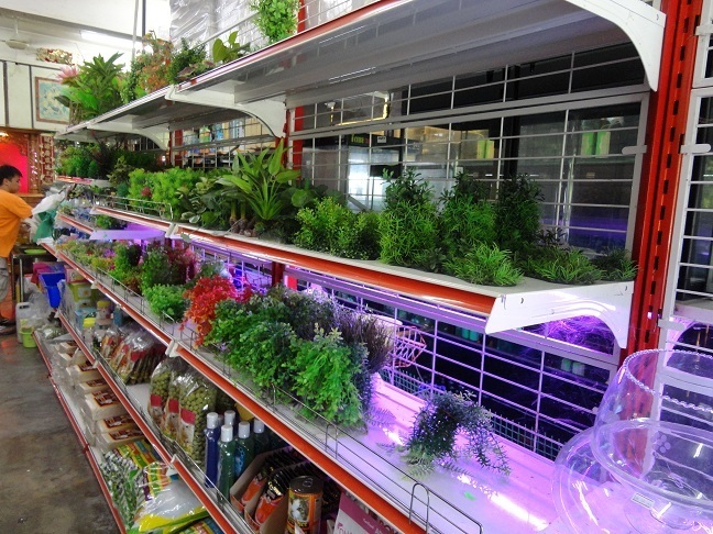 About Us Soon Heng Aquarium Trading