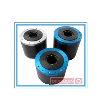 direct drive rotary motor 2