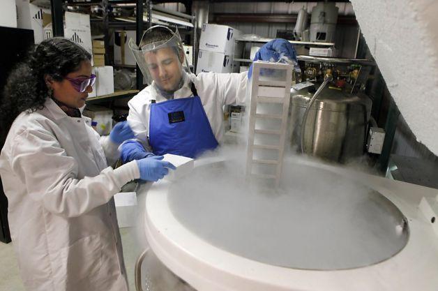 Cryogenic Tank3