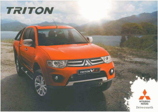TRITON VGT GS
