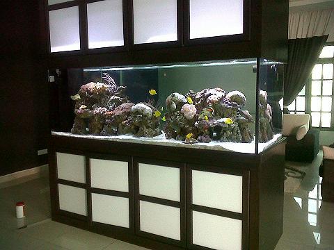 IMG00450 20110808 1647