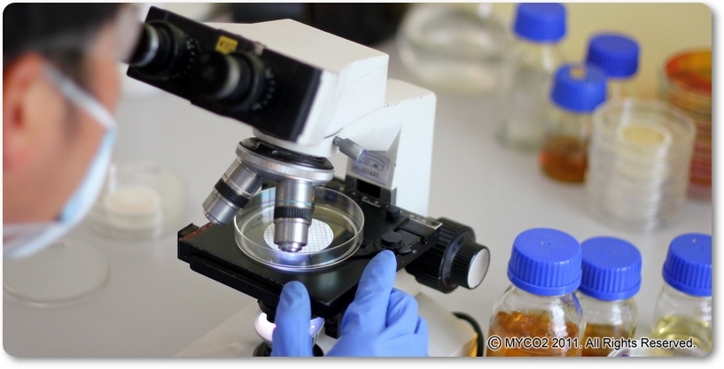 About Us My Co2 Sdn Bhd