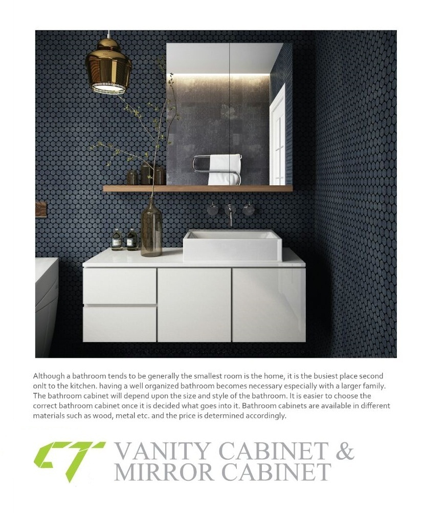 VANITY CABINET & MIRROR CABINET 