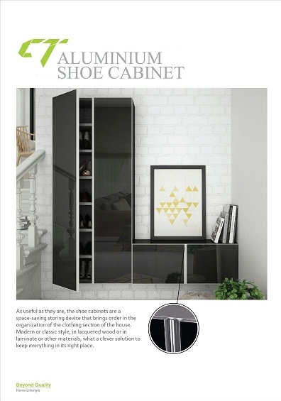 SHOE CABINET