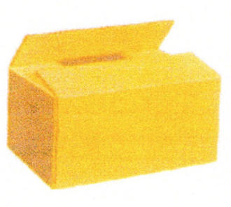 RSC