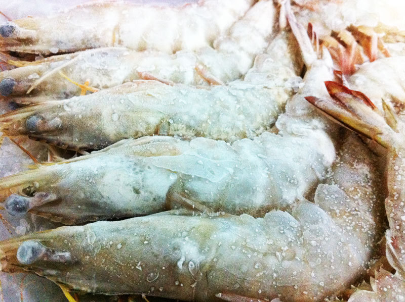 Sea White Prawn 明蝦