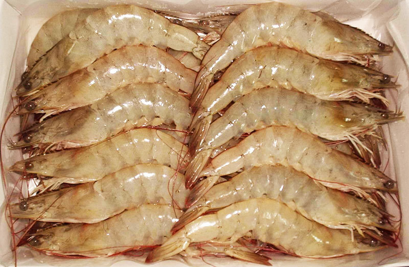 Vannamei Prawn 白蝦