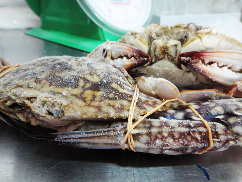Flower Crab 花蟹