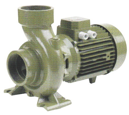 Domestic Pumps
