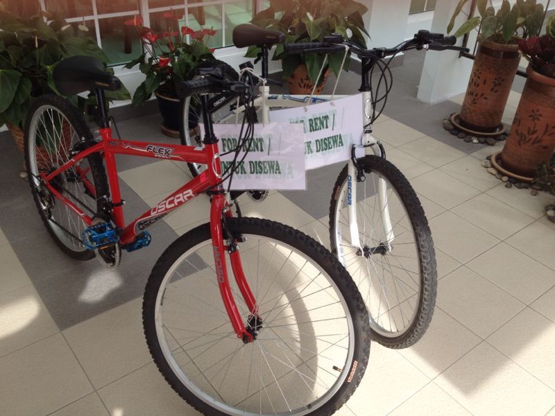 Bicycle for rent