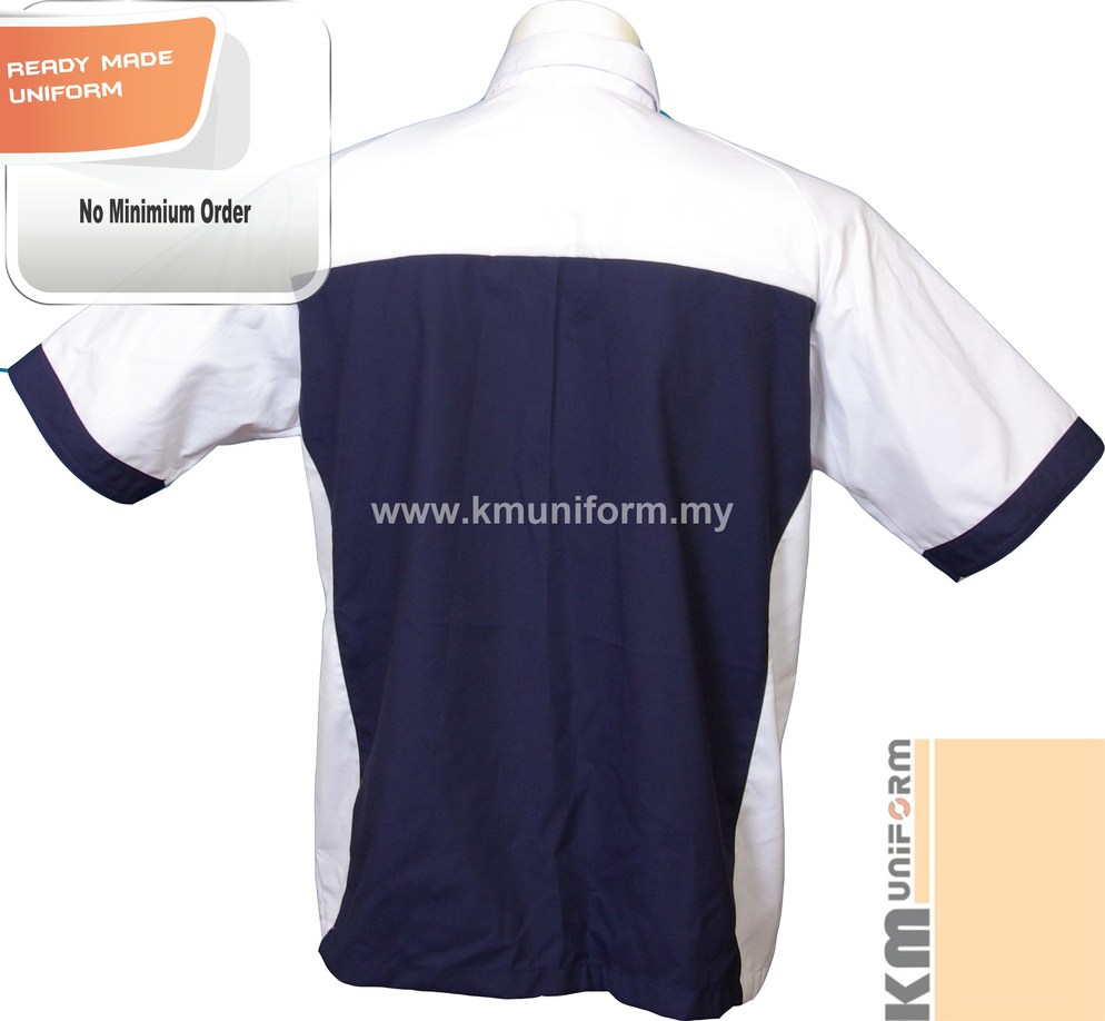F1 3001 Back