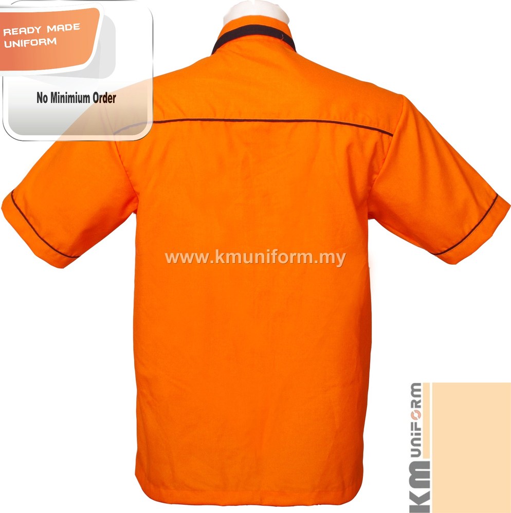 F1 4007 Back