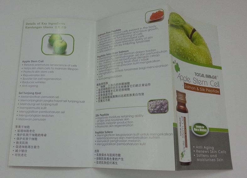 Brochure 8