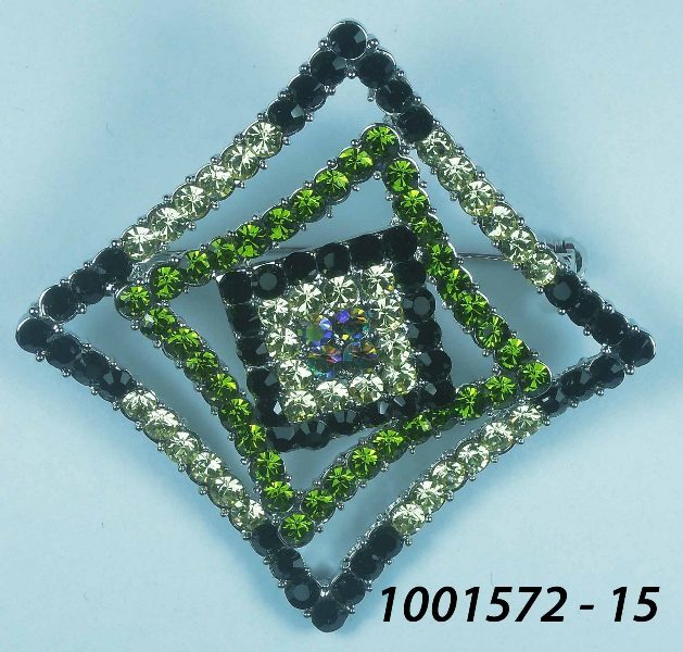 1001572 (15)